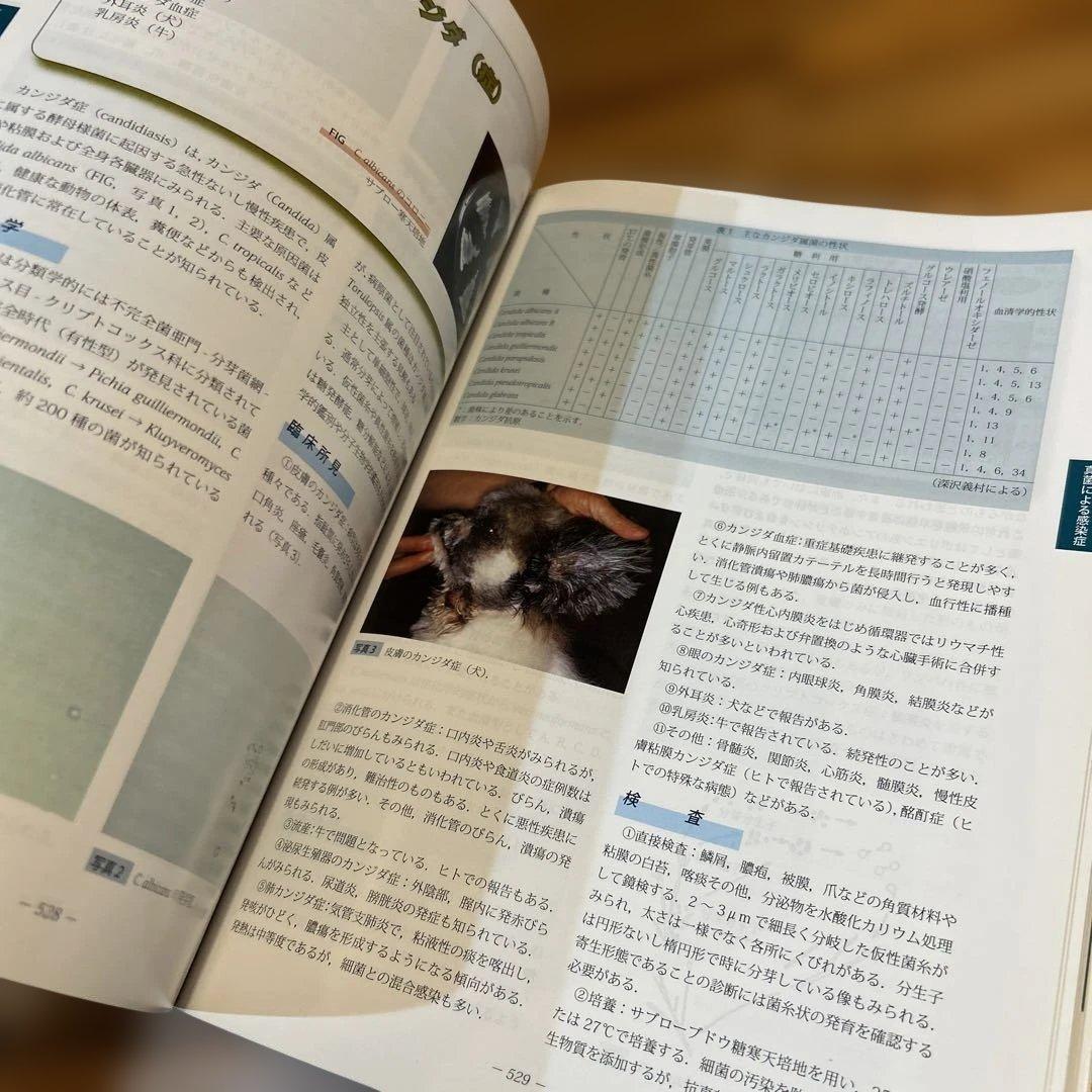 獣医感染症カラーアトラス　第2版