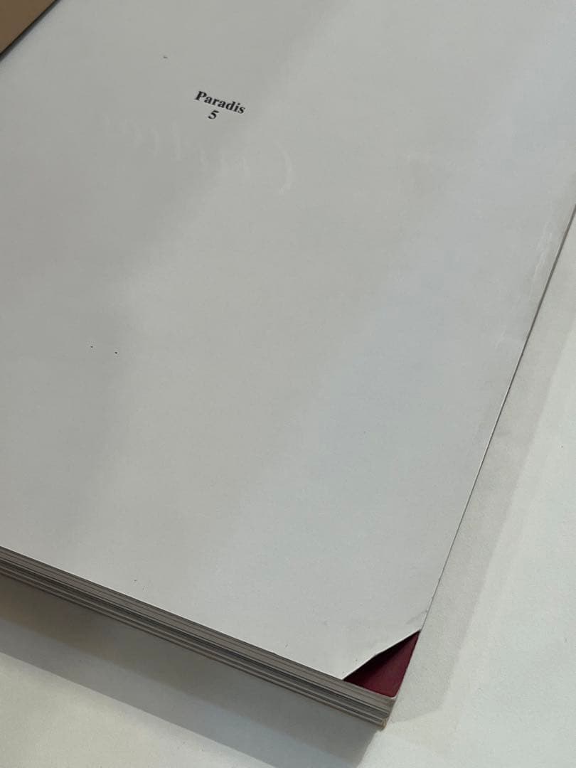 希少　PARADIS No.5 purple fashion