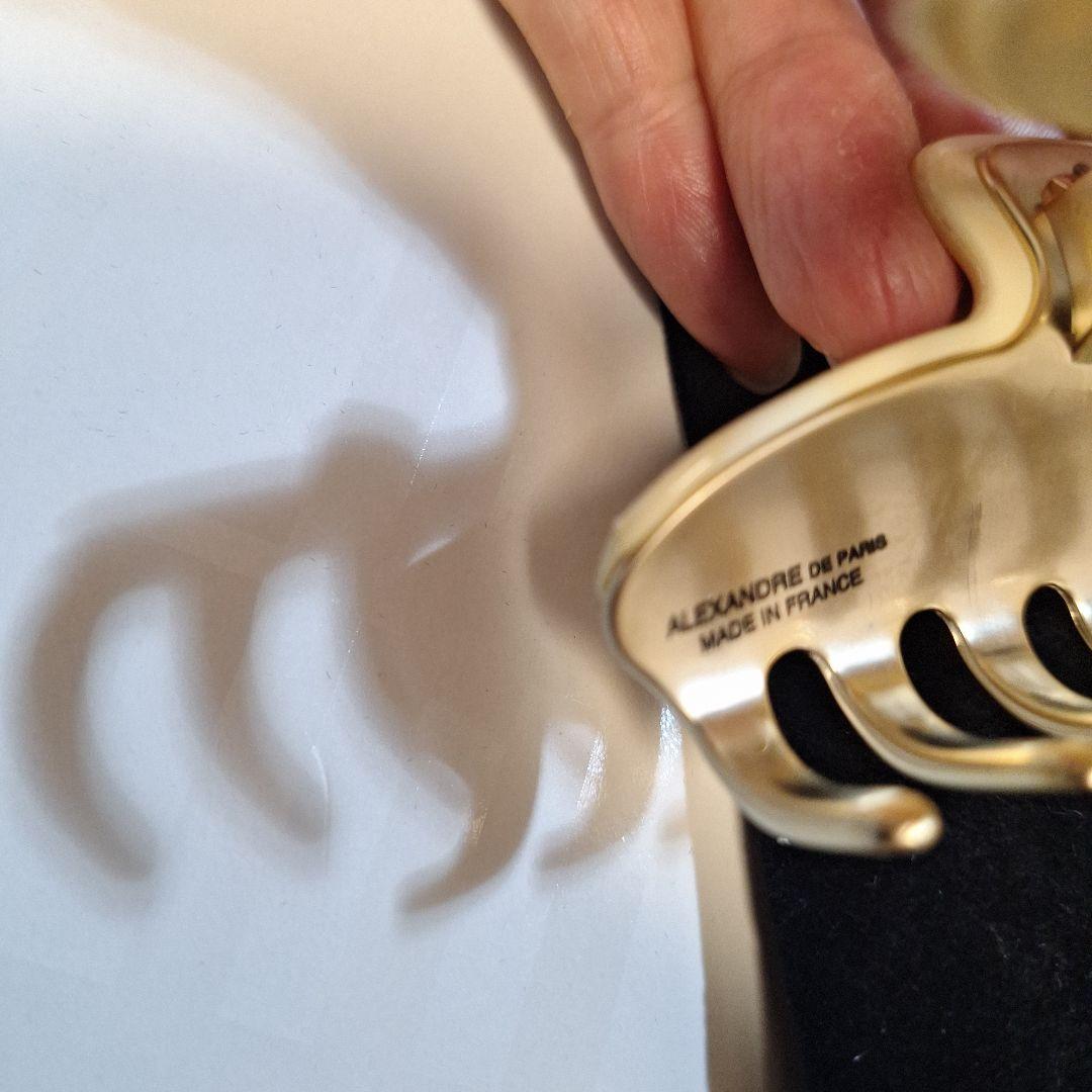 Alexandre de Paris 蝶々 バタフライ ベージュ　クリップ