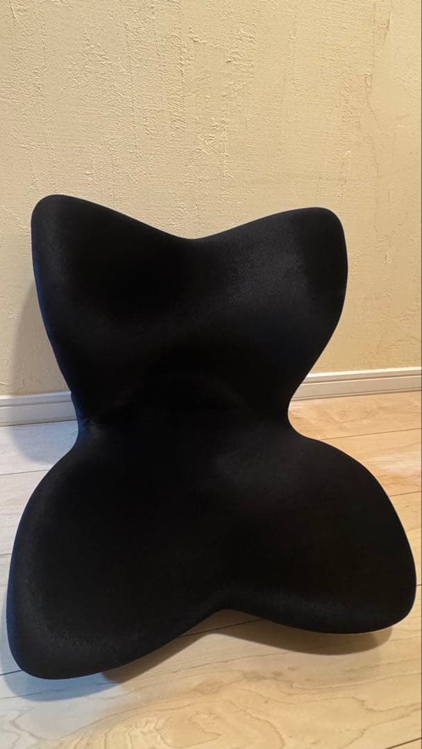 Style PREMIUM DX ( スタイルプレミアムデラックス )