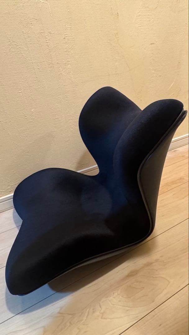 Style PREMIUM DX ( スタイルプレミアムデラックス )