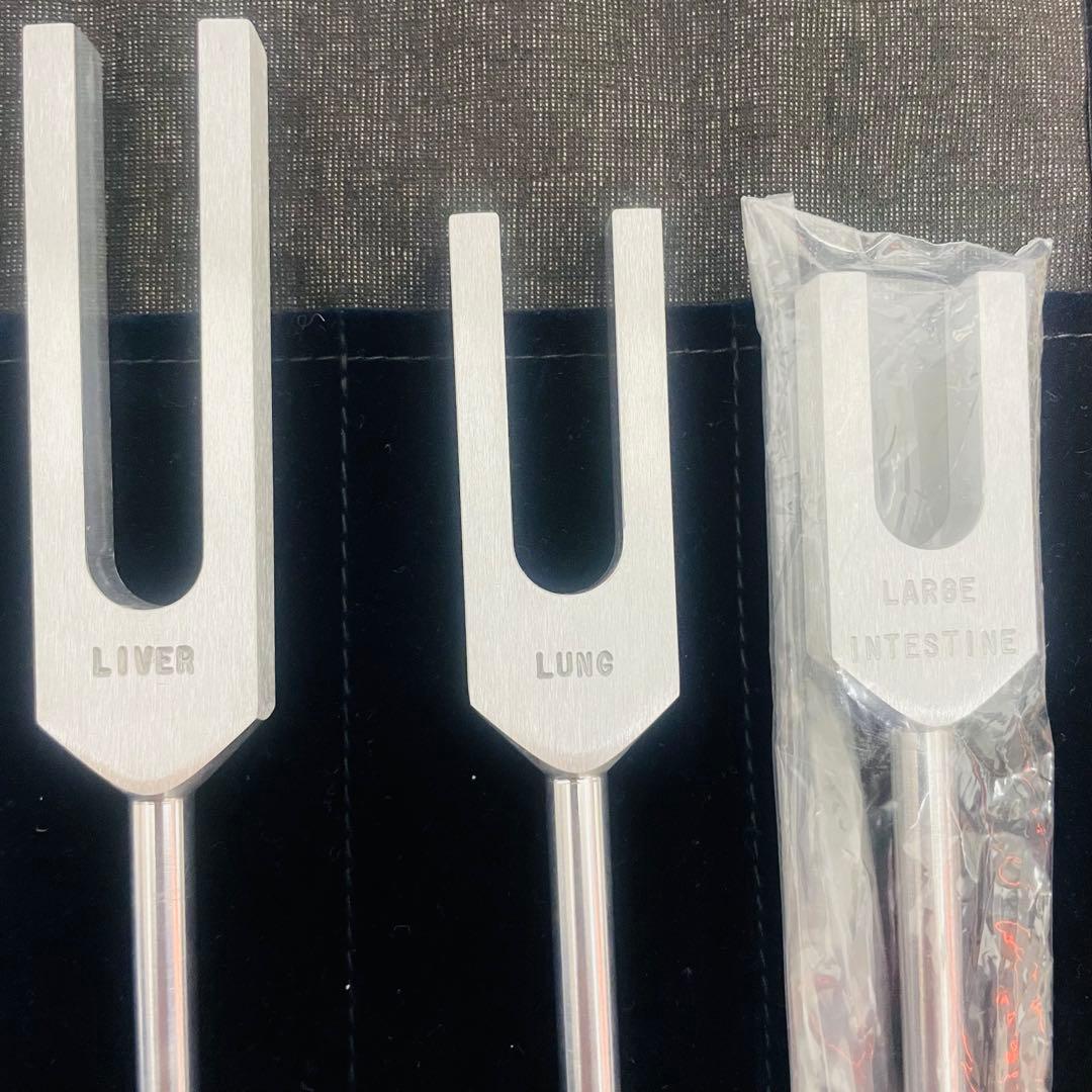 Medivibe 経絡チューナー 14本セット／任脈・督脈フルコンプリート