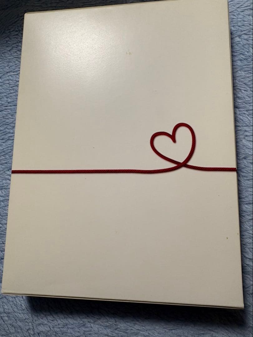 10年先も君に恋して　DVD-BOX