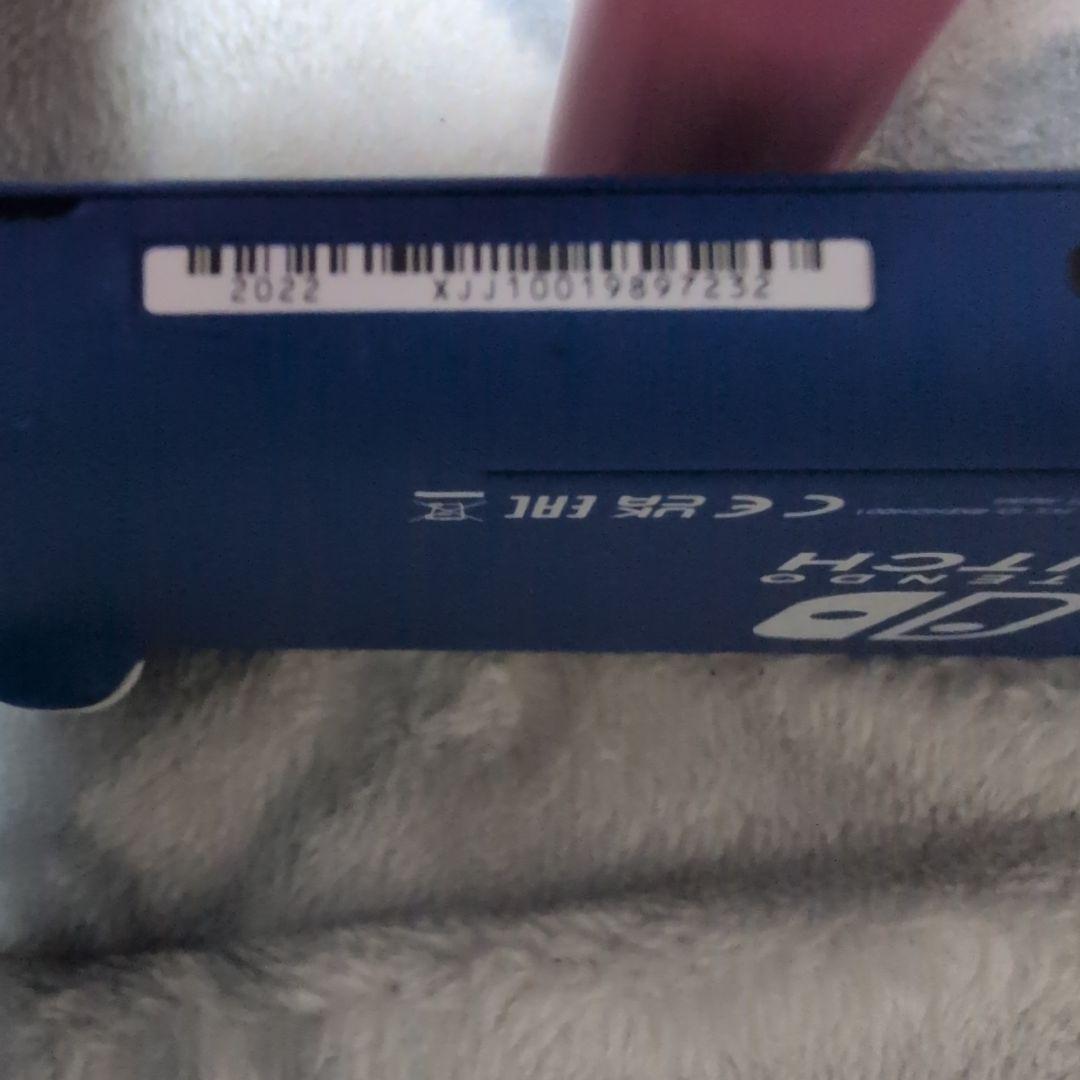 【22年製美品】Switchライト ポーチ付き