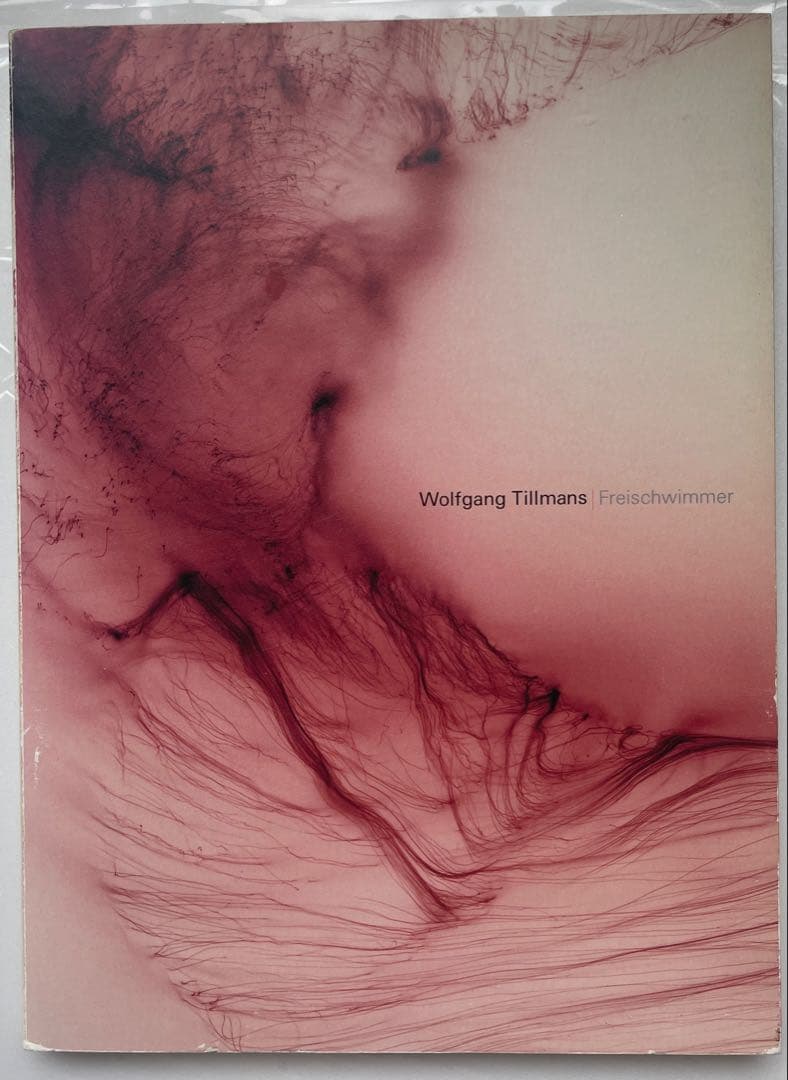 アート・デザイン・音楽 Wolfgang Tillmans Freischwimmer