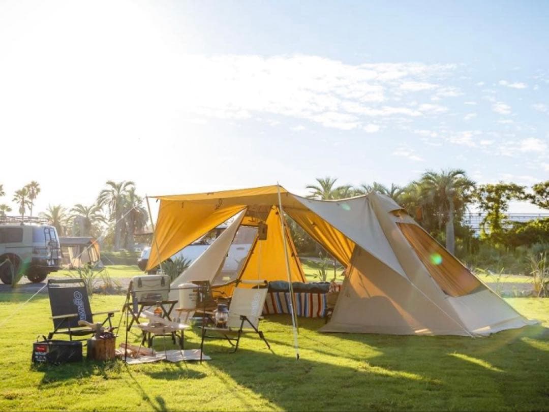 ⭐️ツインクレスタ T/C⭐️未使用品！