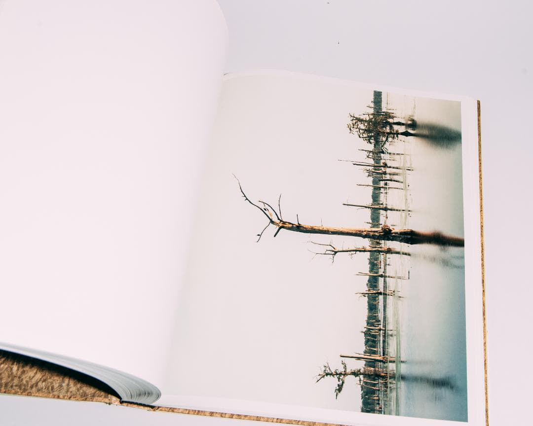 RICHARD MISRACH CHRONOLOGIES　写真集