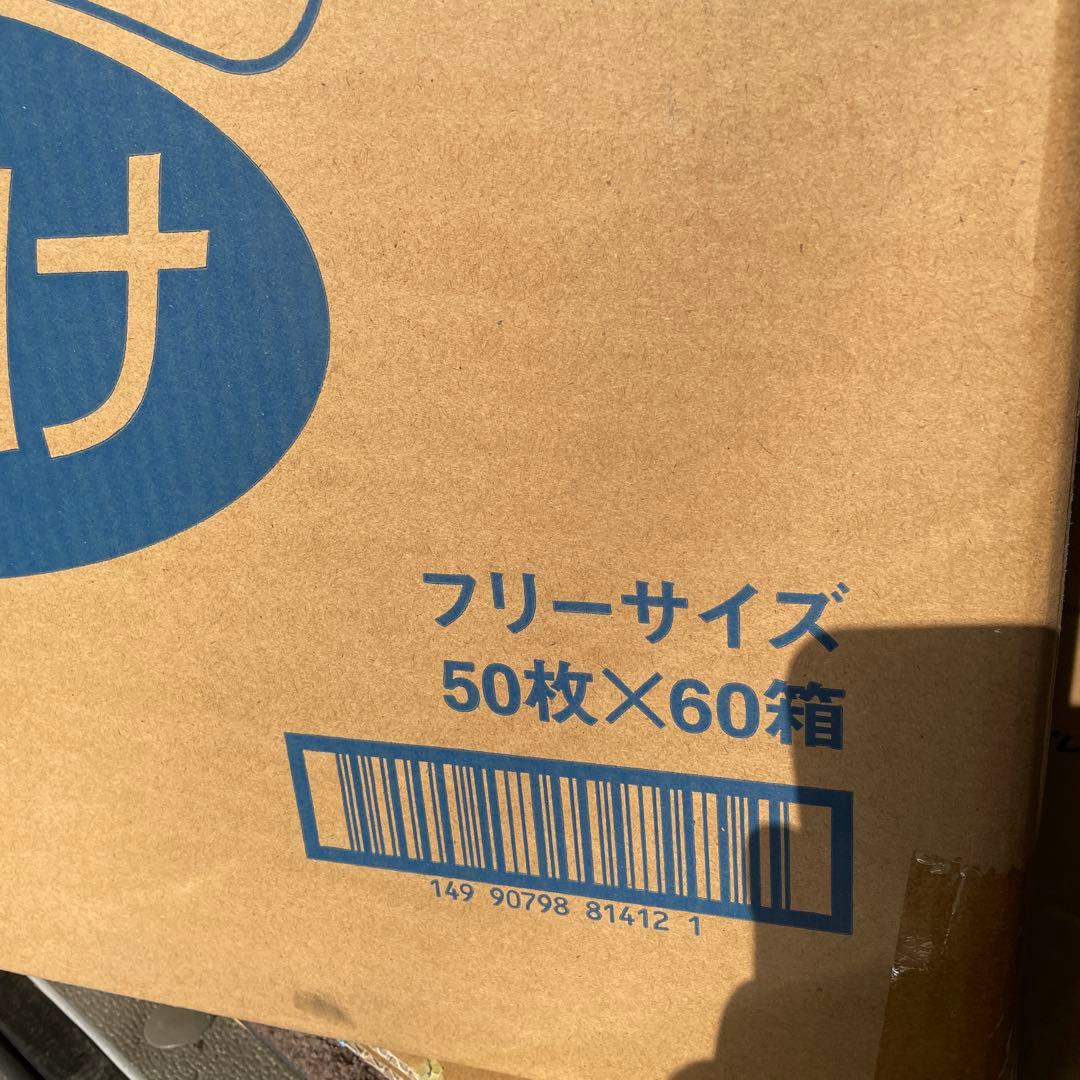 クリーンマスク 頭掛け 樹脂製Wブリッジタイプ 50枚×60箱　新品未使用