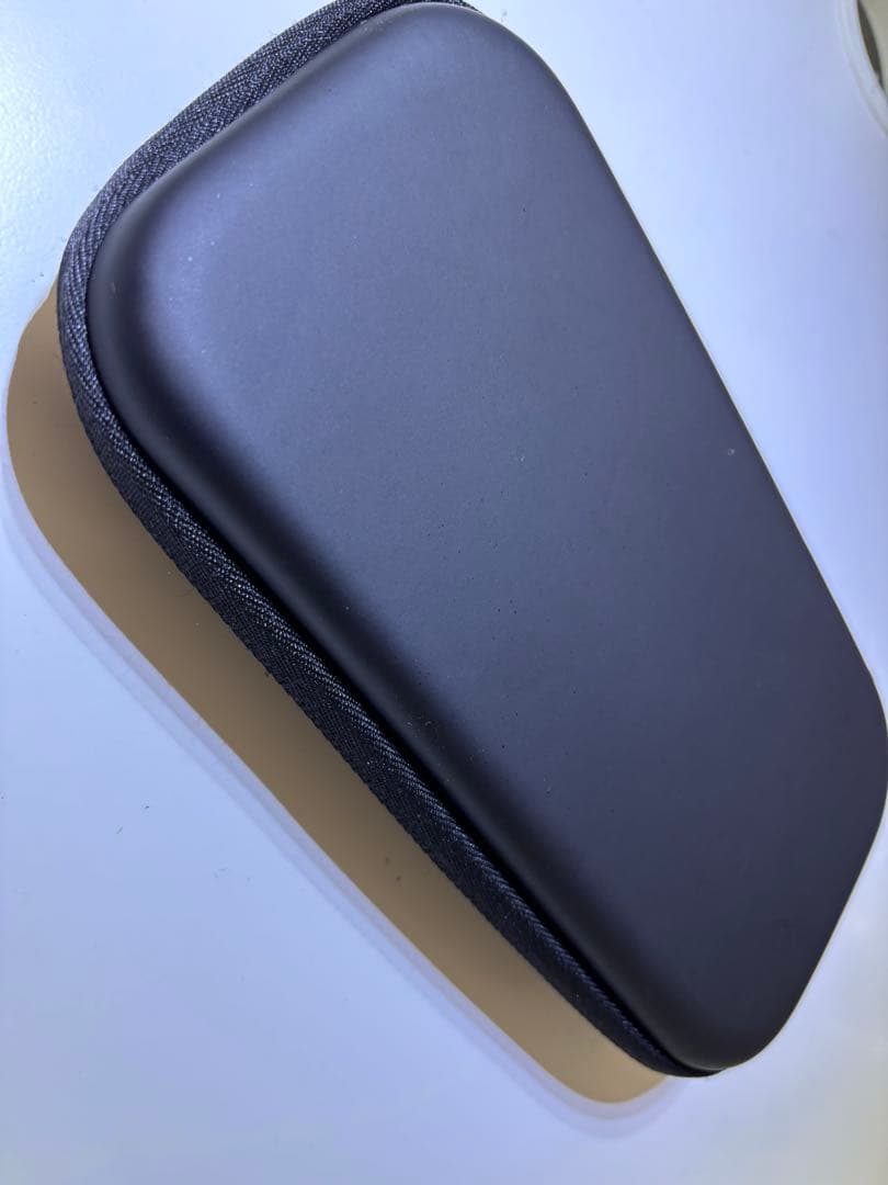 Nintendo Switch Lite グレー本体 【ケースと付属品付き】