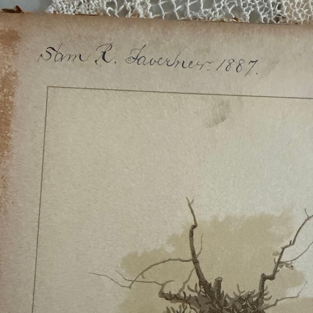 1886年アンティーク美しい挿絵ヴィクトリアン絵本　洋書ジャンクジャーナル古書