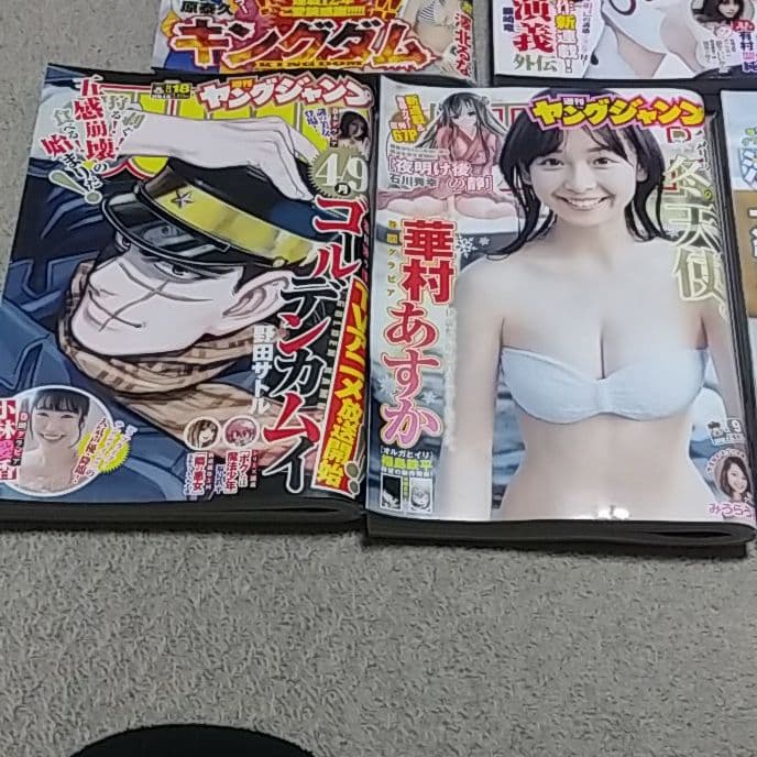 ポポさん確認用