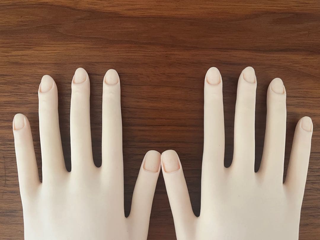 JNEC 認定モデルハンド両手セット　検定チップ付き