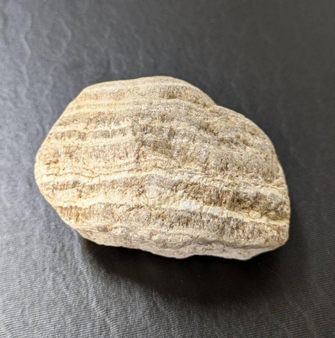 ★秋田発『北投石』２１５グラム 100%本物!! 玉川温泉産 ⛄️