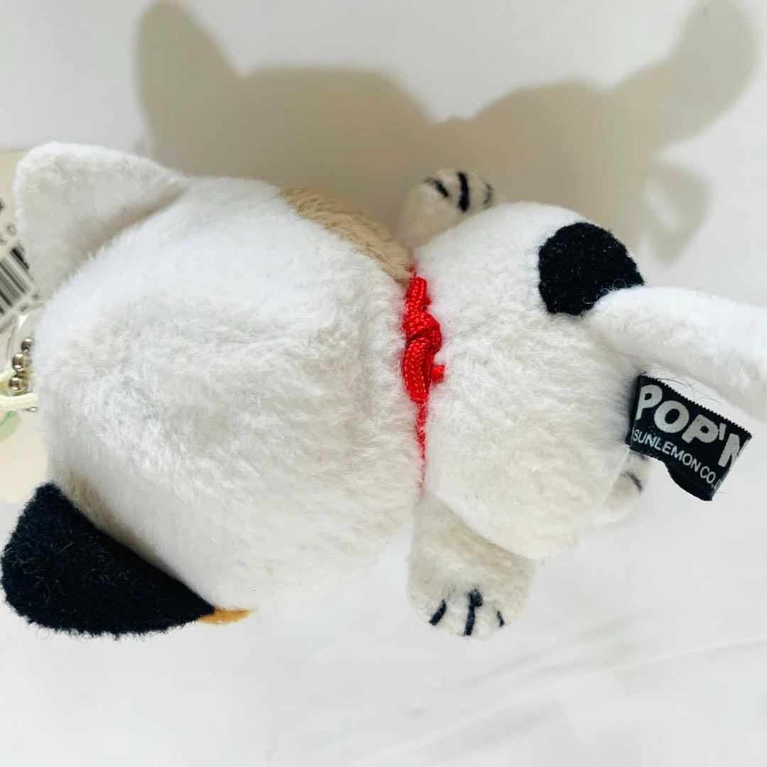 レトロ　ネコっかぶり　サンレモン　タグ付き　希少 猫　帽子　POP'N'KIDS