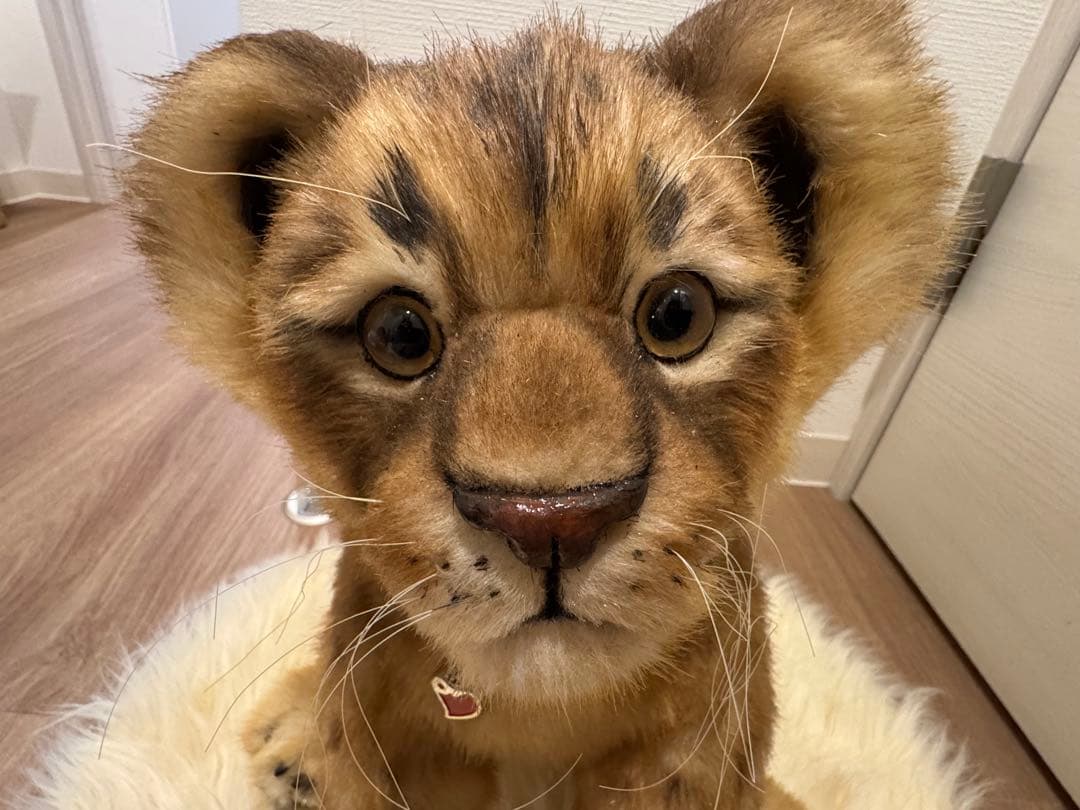 海外作家様作　アートドール　ライオンの子供