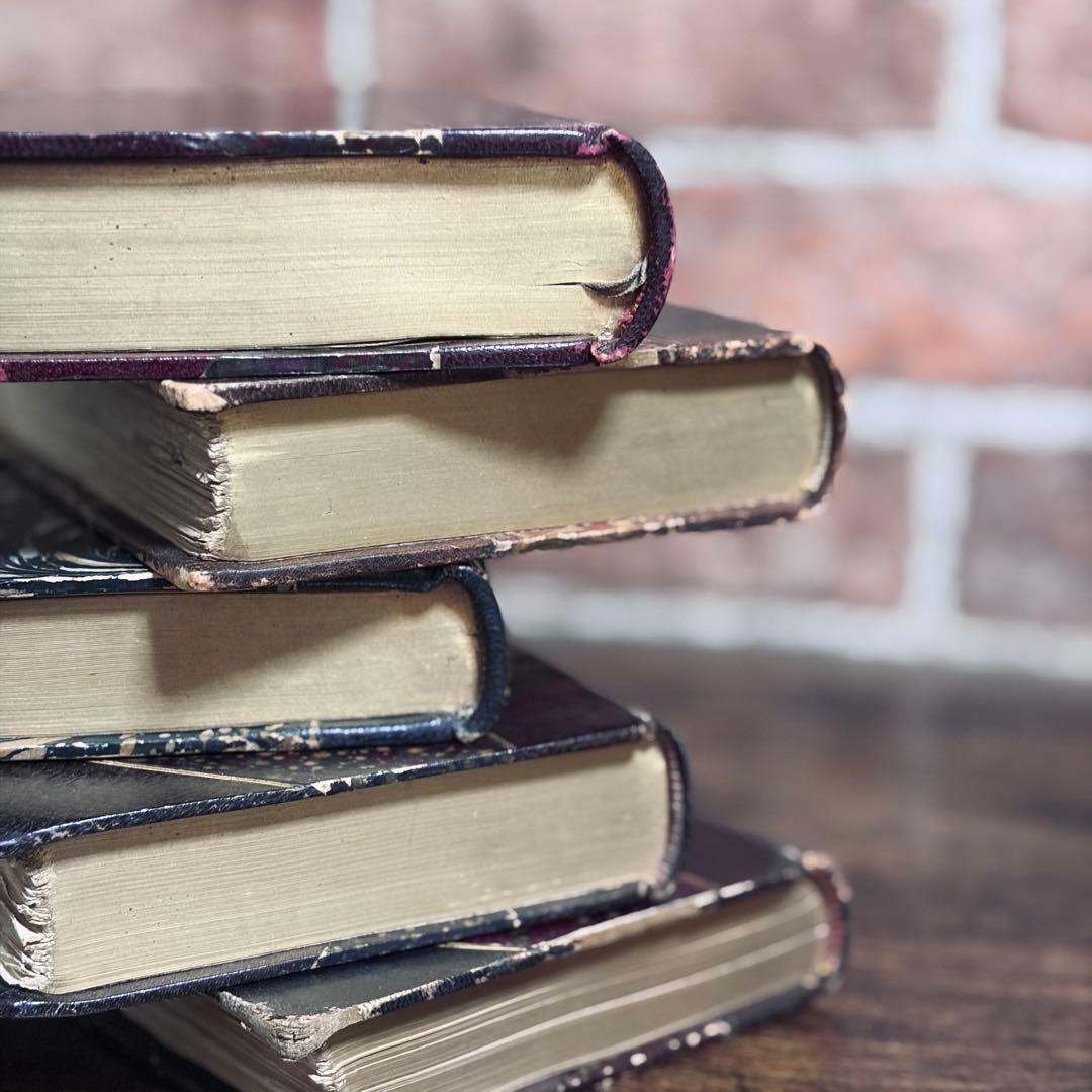 フランス古書 洋書【5set】 アンティーク 革装丁 ゴールド装飾　インテリア