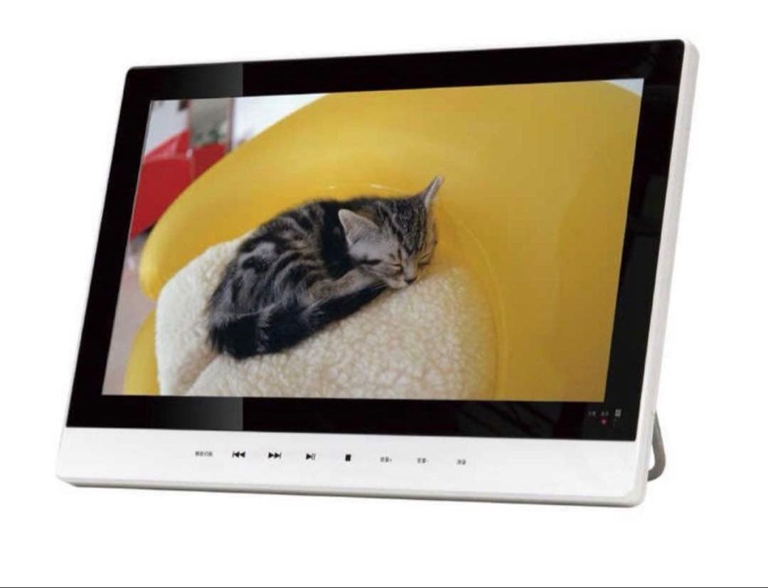 TEES 防水11.1型ポータブルDVDプレーヤー PD-M111-WH