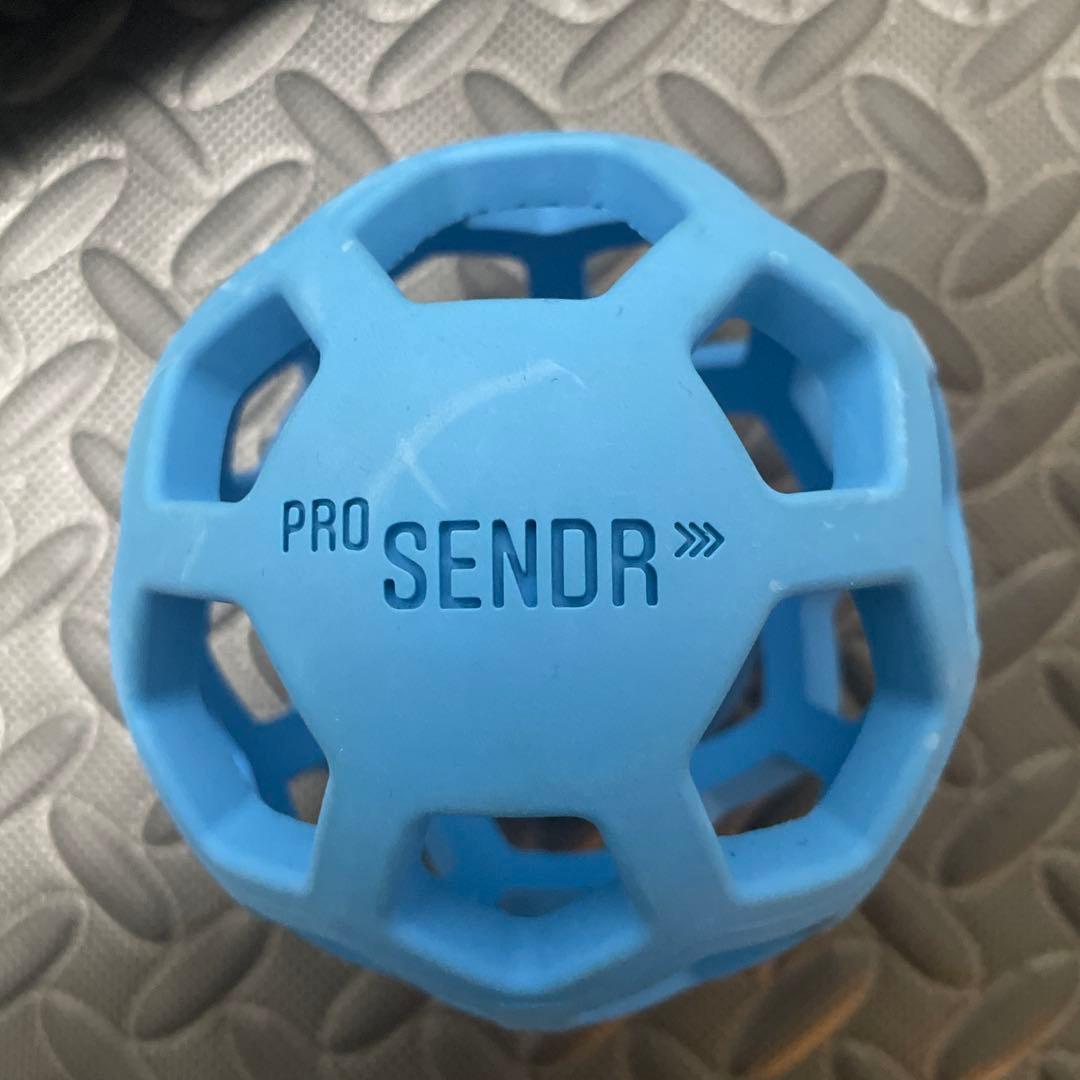 美品　プロセンダー　PRO SENDR ボールとアームバンドセット
