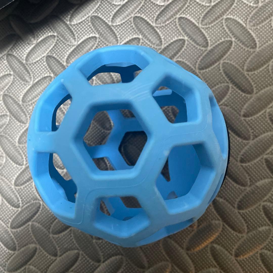 美品　プロセンダー　PRO SENDR ボールとアームバンドセット