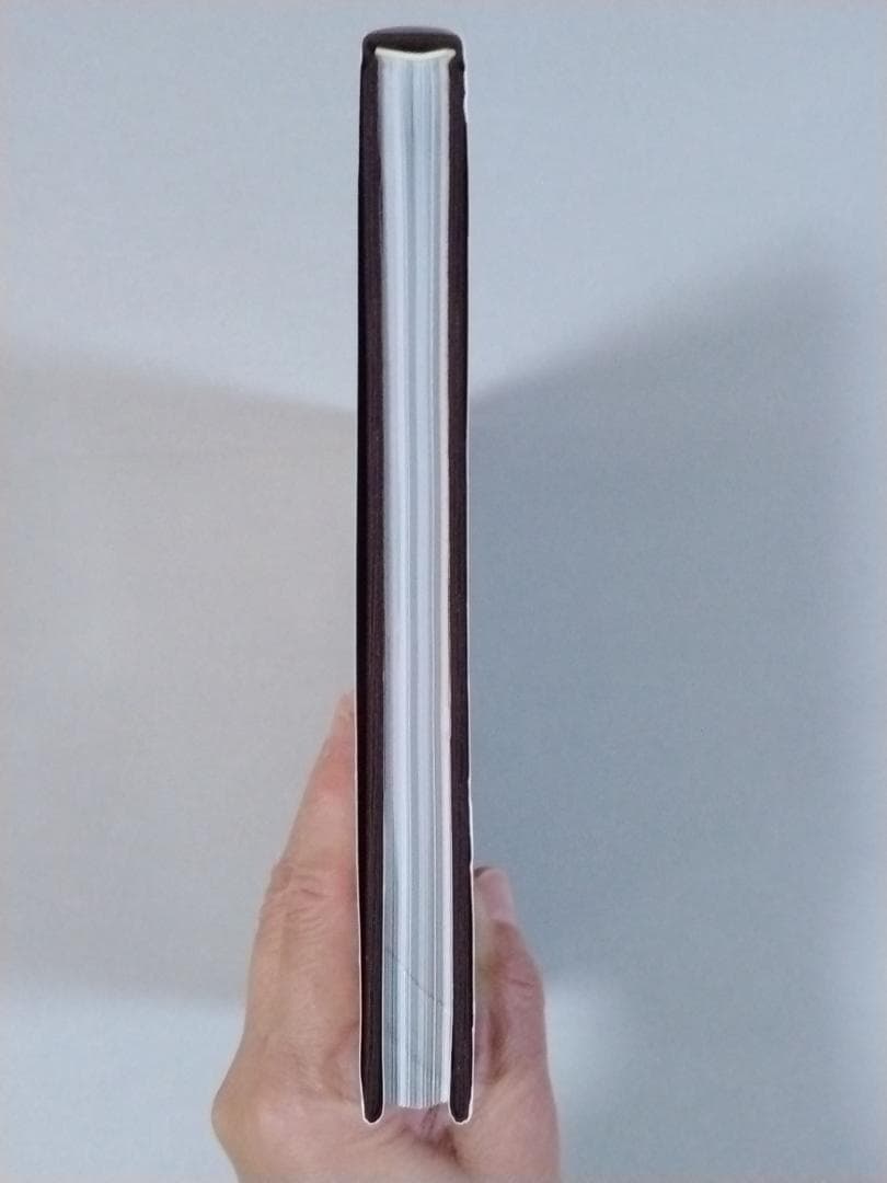 「※希少本　ケース付き」　BURST GANG　高嶋元能　1999年　オリジナル