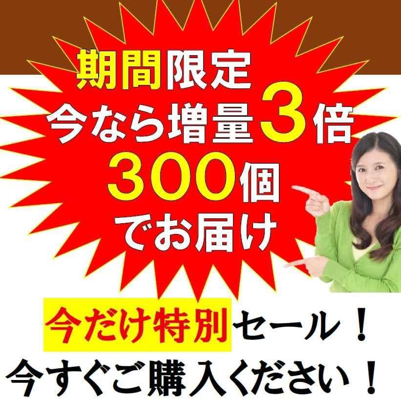 テラへルツ転写済　ゲルマニウム粒　300個　肩こり　プチシルマ　エレキバン