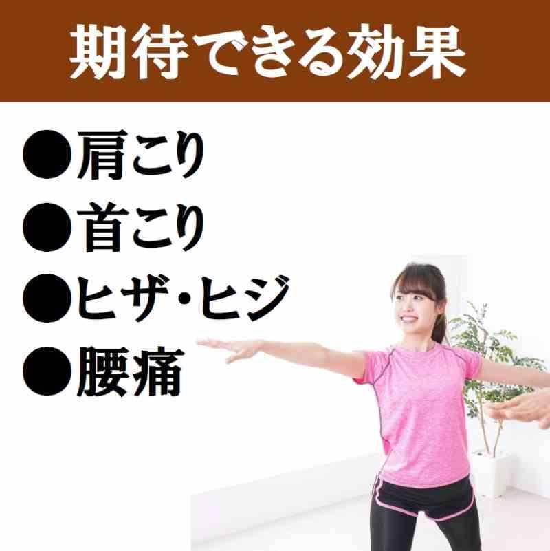 テラへルツ転写済　ゲルマニウム粒　300個　肩こり　プチシルマ　エレキバン