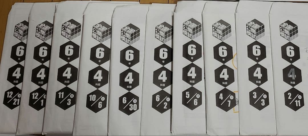 2024年　日能研　6年生　テスト　1年分　全国模試　育成テスト