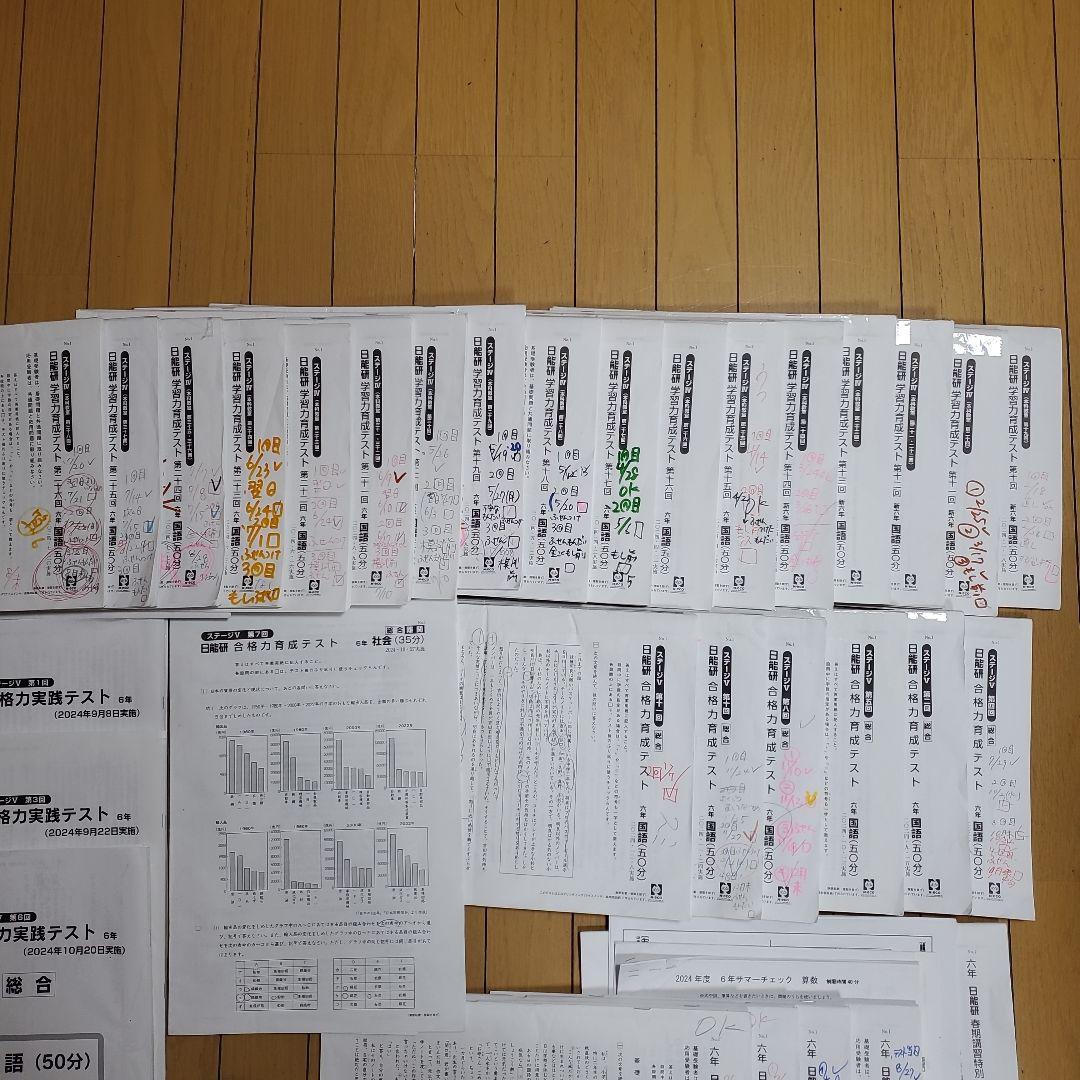 2024年　日能研　6年生　テスト　1年分　全国模試　育成テスト