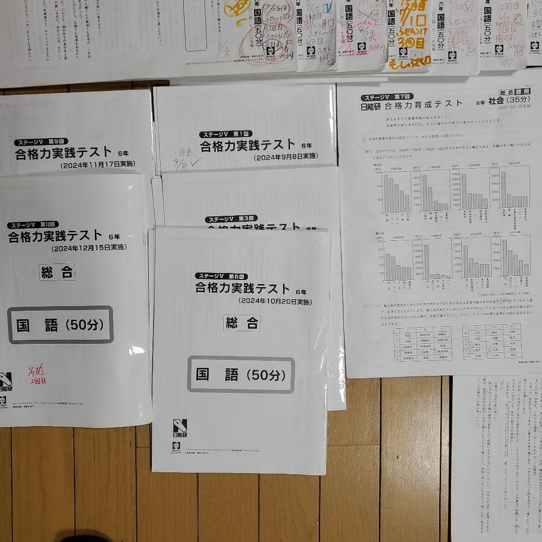 2024年　日能研　6年生　テスト　1年分　全国模試　育成テスト