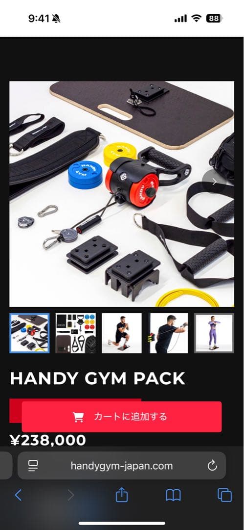 【定価23万】HANDY GYM PROハンディジム 慣性トレーニング