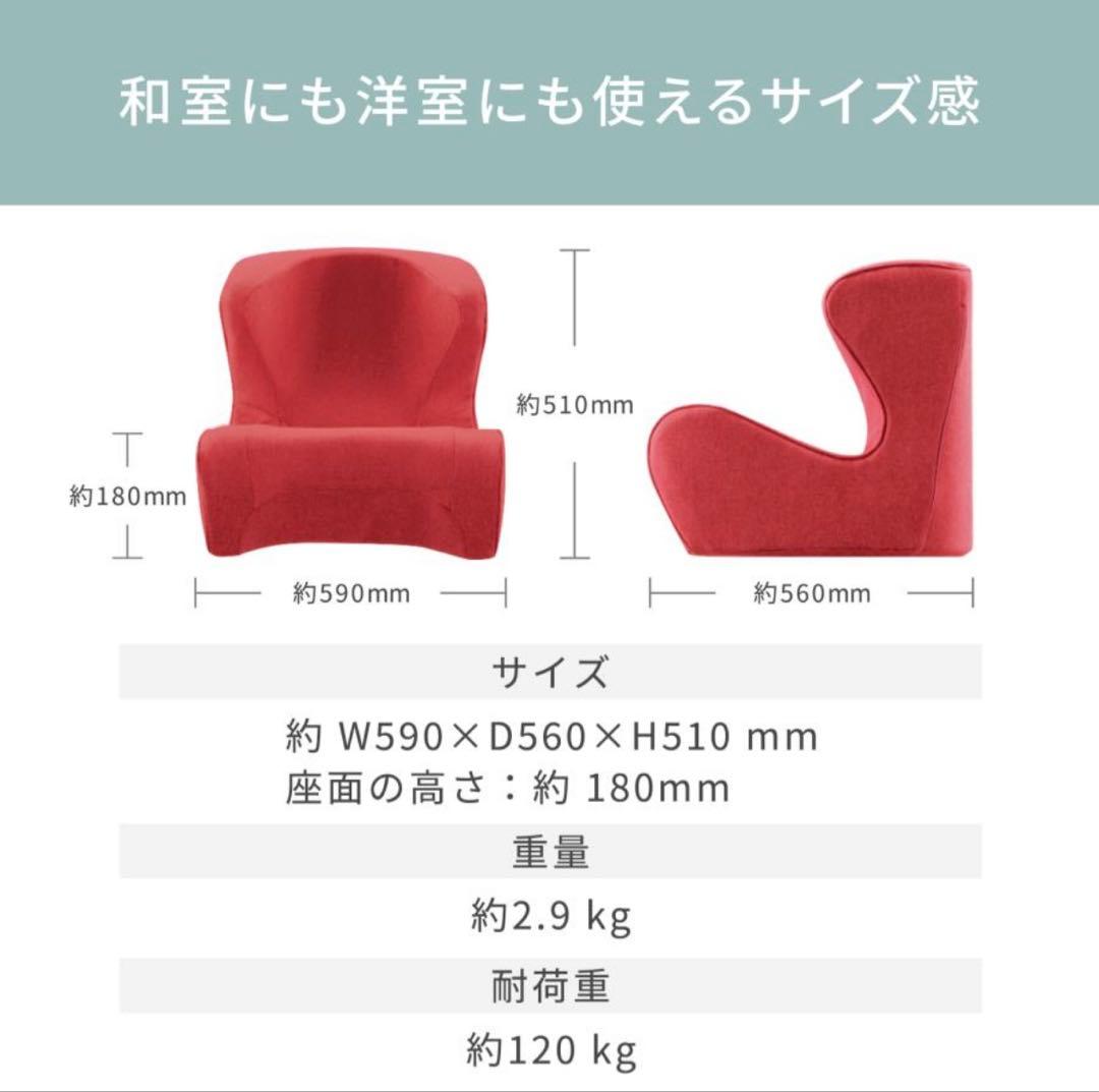 MTG スタイル ドクター チェア Style Dr.CHAIR ブラウン