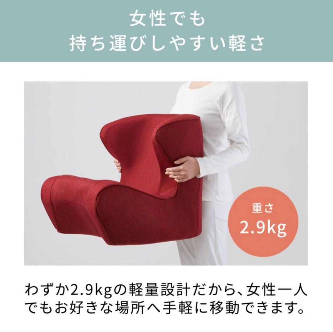 MTG スタイル ドクター チェア Style Dr.CHAIR ブラウン