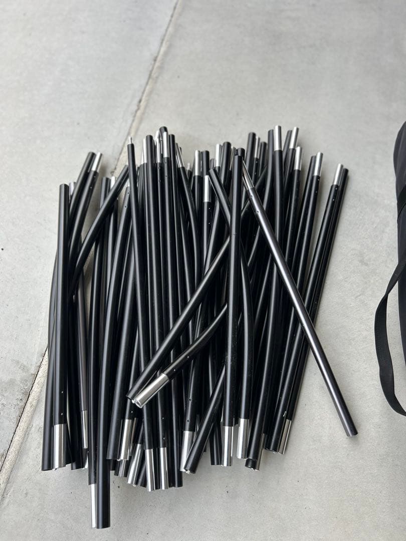 サバティカル　アルニカ