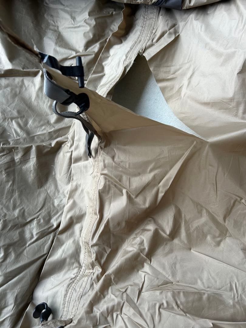 サバティカル　アルニカ