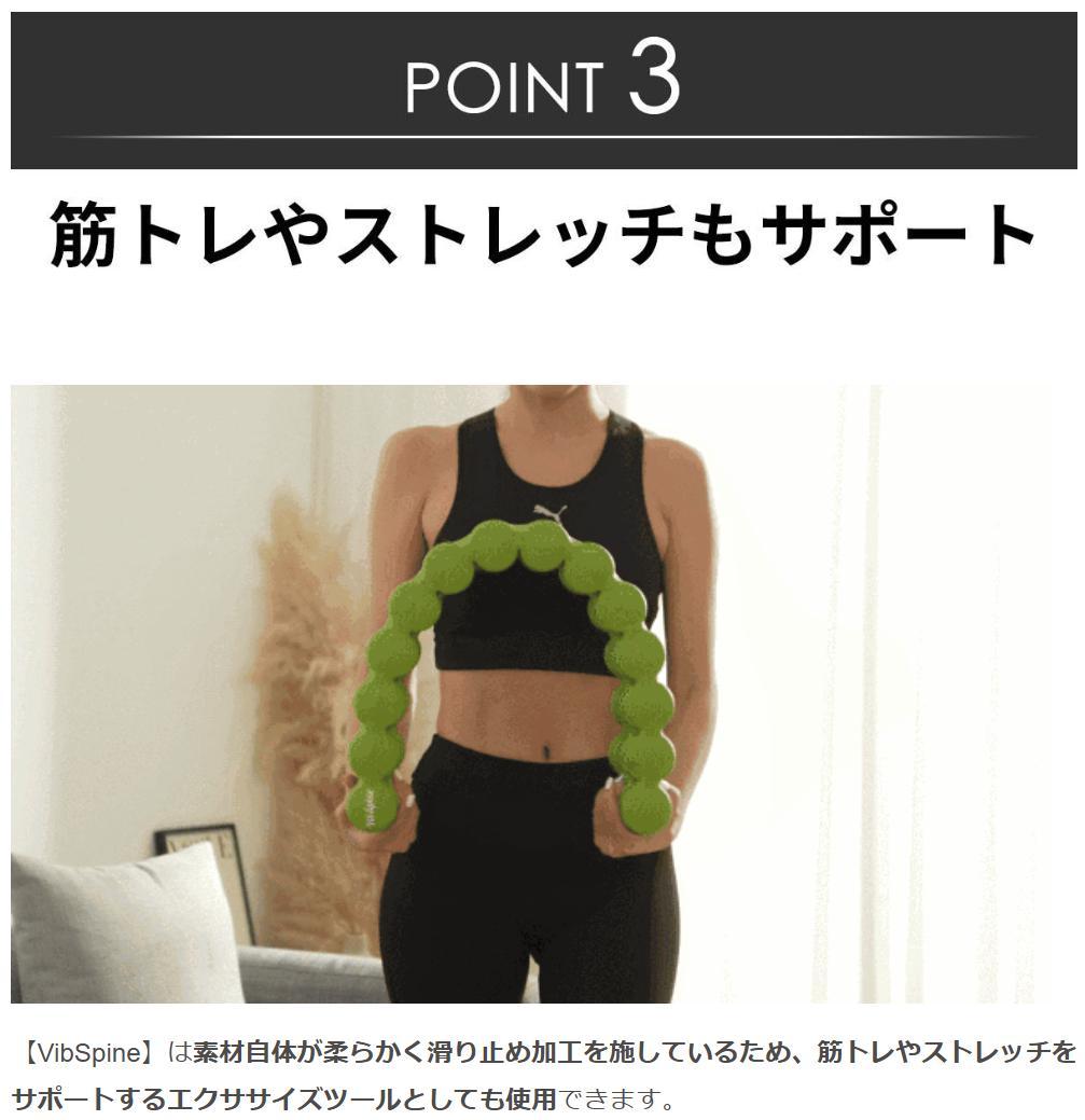 【12/16迄★半額】未開封 Vib Spine エクササイズマット ブラック