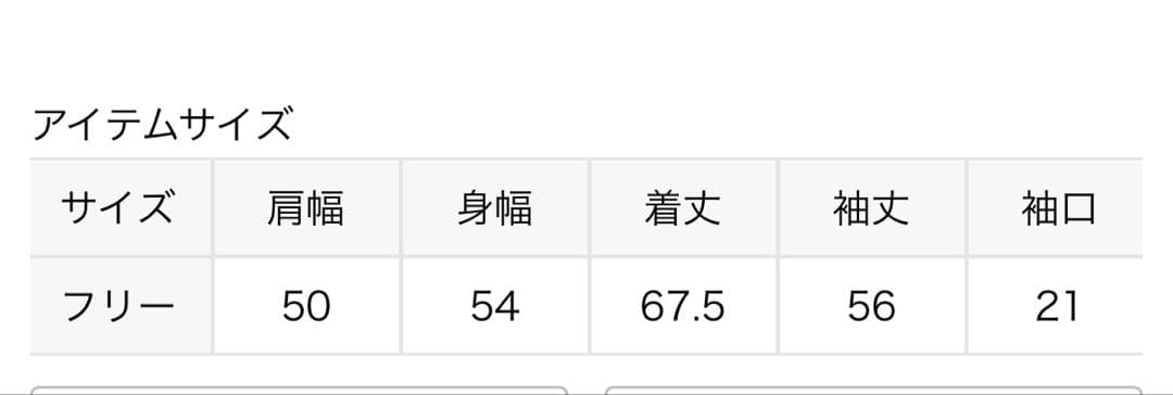 スピックアンドスパン　ライトオンスデニムシャツ　サックスブルー