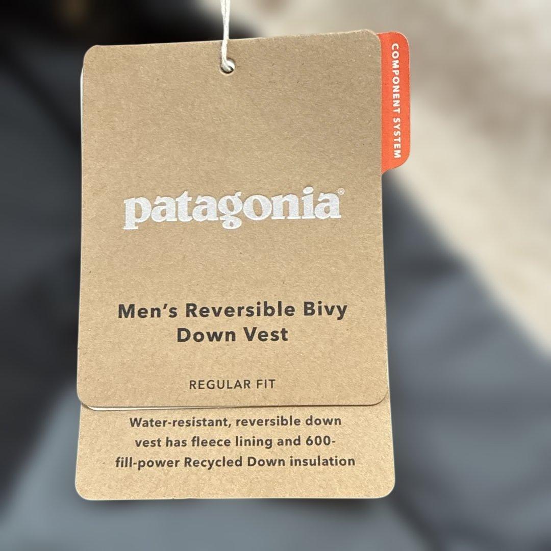 専用出品patagonia リバーシブル ビビーズ ダウンベスト フォージグレー