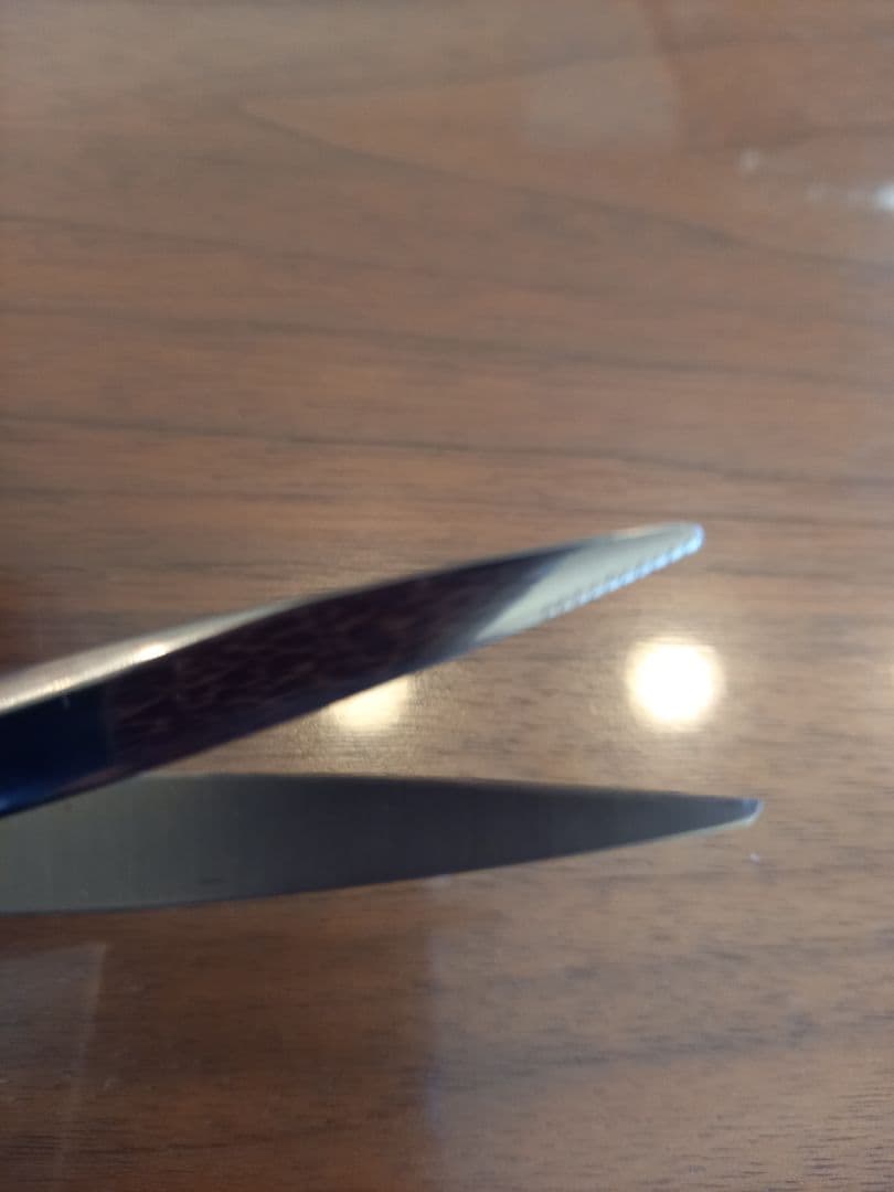 シザーズ　ジャパン※おまけ※鋏二挺