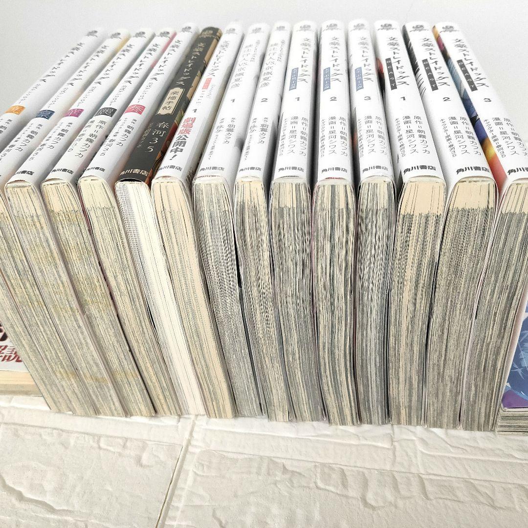文豪ストレイドッグス (1~25) その他17冊セット おまけ付 追加デップル2