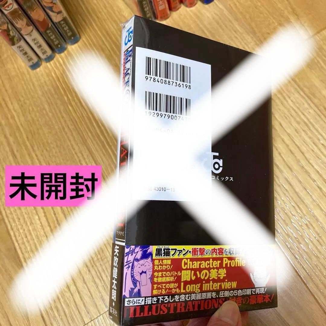 邪馬台幻想記　ブラックキャット　矢吹健太朗　初版　帯付き