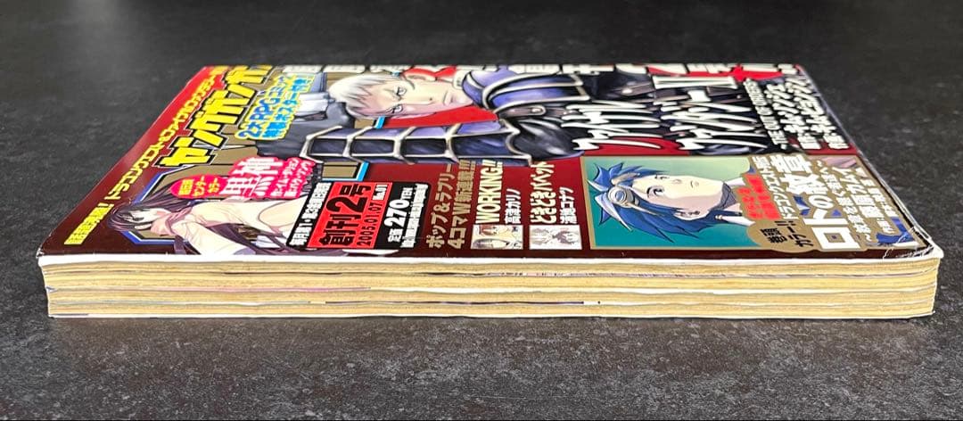 ●ヤングガンガン 創刊2号 2005年 ●新連載 WORKING!! 高津カリノ