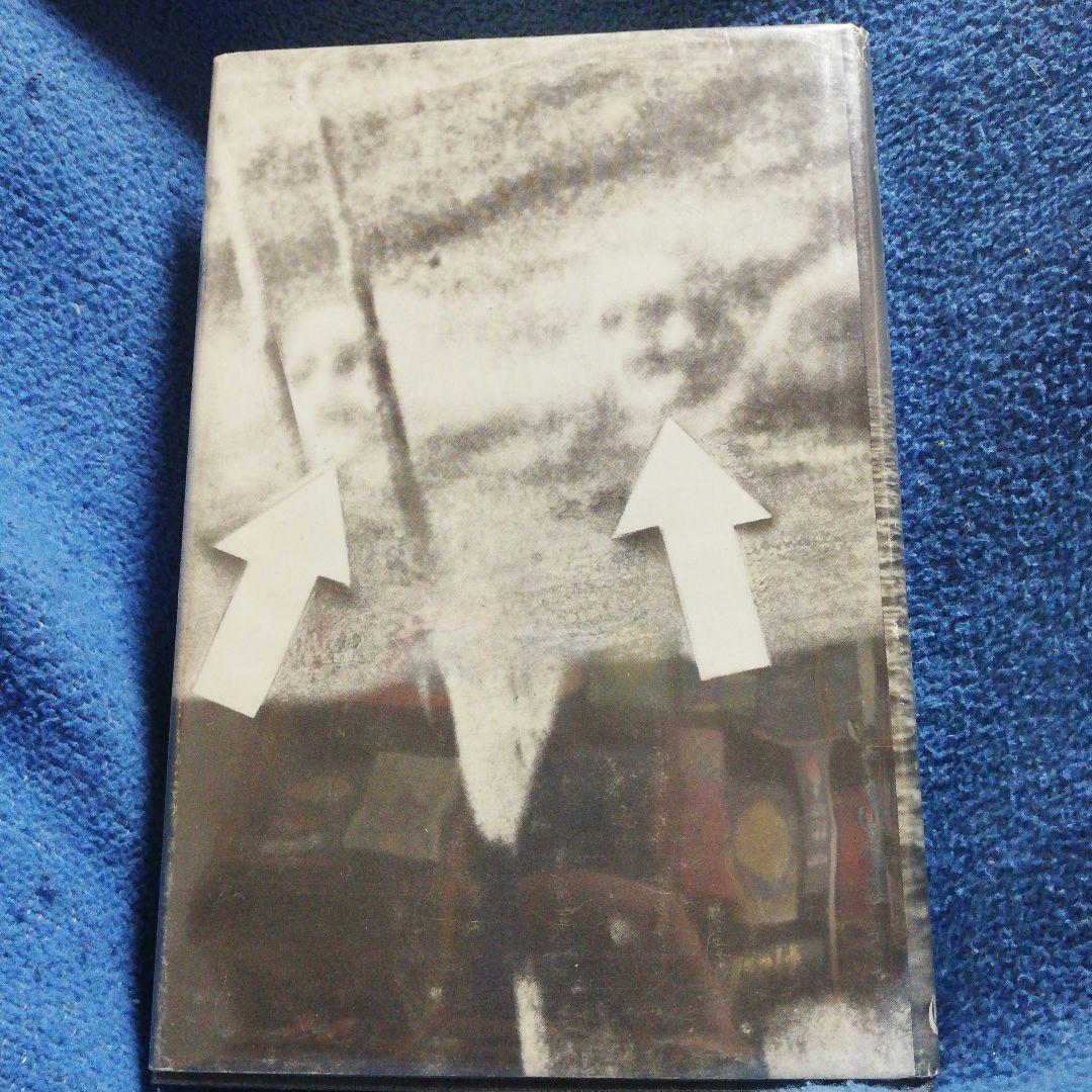 洋書 INVISIBLE HORIZONS by Gaddis