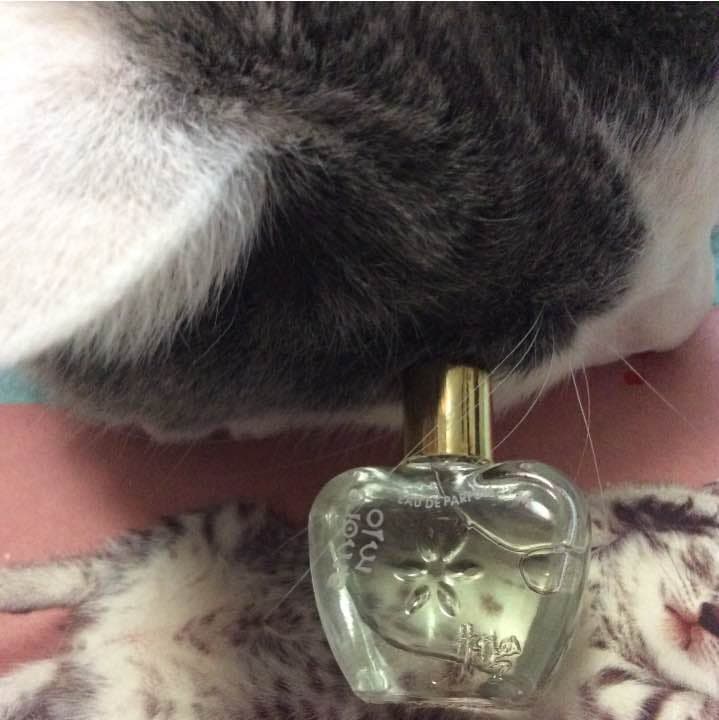 【お取り置き品】アモーレ ミオ 7ml