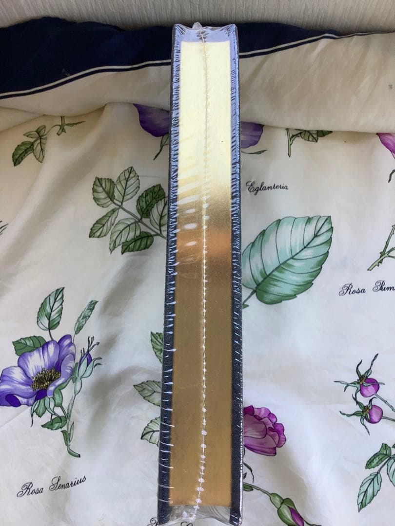 ロビンソンクルーソーRobinson Crusoe - Daniel Defoe