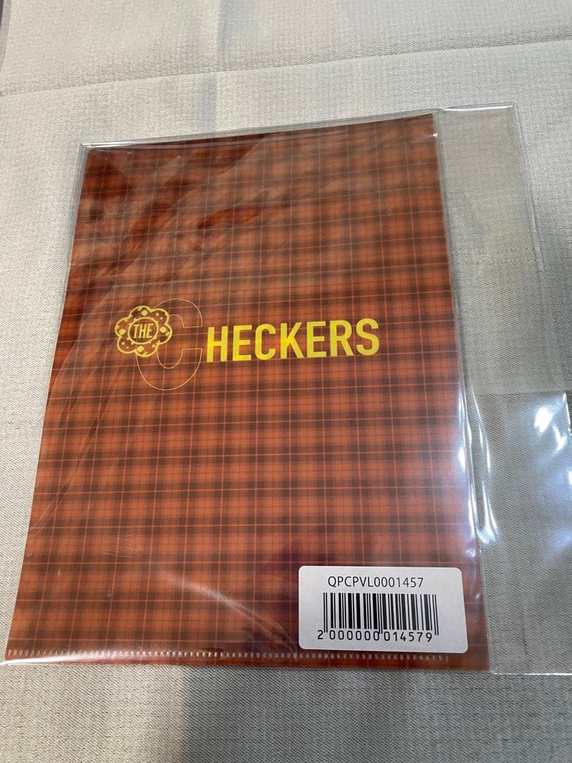 新品　チェッカーズファイナルツアー　復刻版CDパンフレット　推し活　 藤井フミヤ