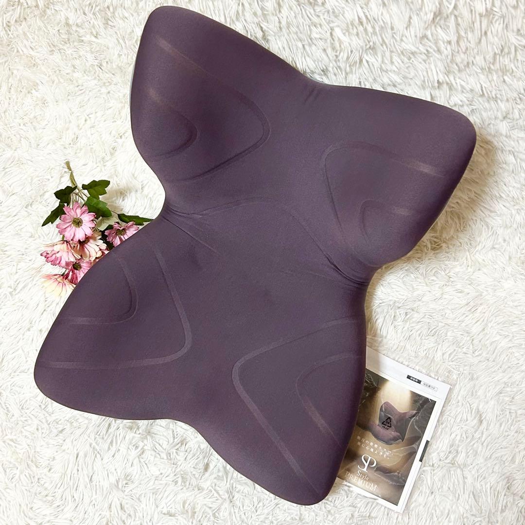 【美品 取説付き】MTG スタイル プレミアム 椅子 腰 骨盤 姿勢補正 座椅子