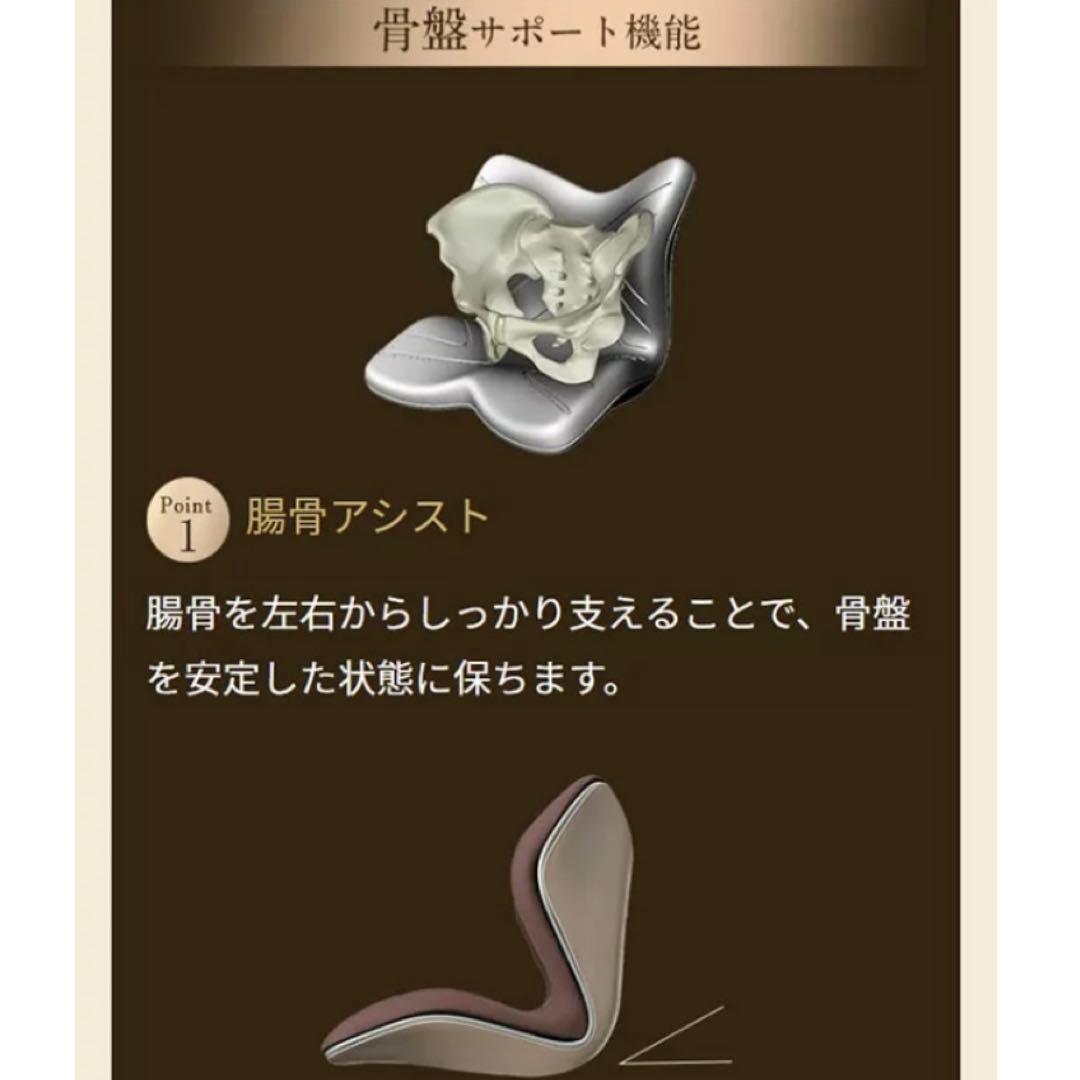 【美品 取説付き】MTG スタイル プレミアム 椅子 腰 骨盤 姿勢補正 座椅子