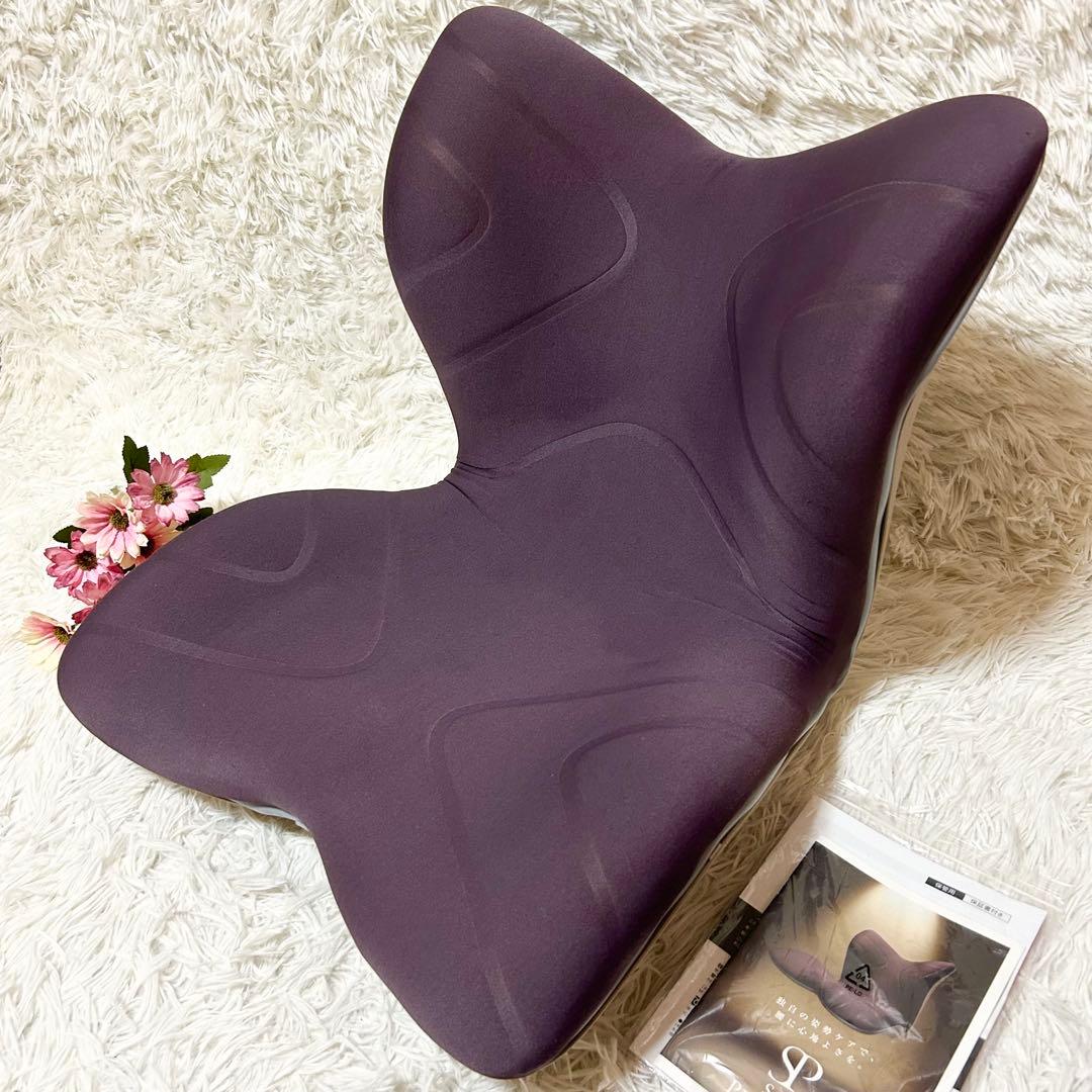 【美品 取説付き】MTG スタイル プレミアム 椅子 腰 骨盤 姿勢補正 座椅子