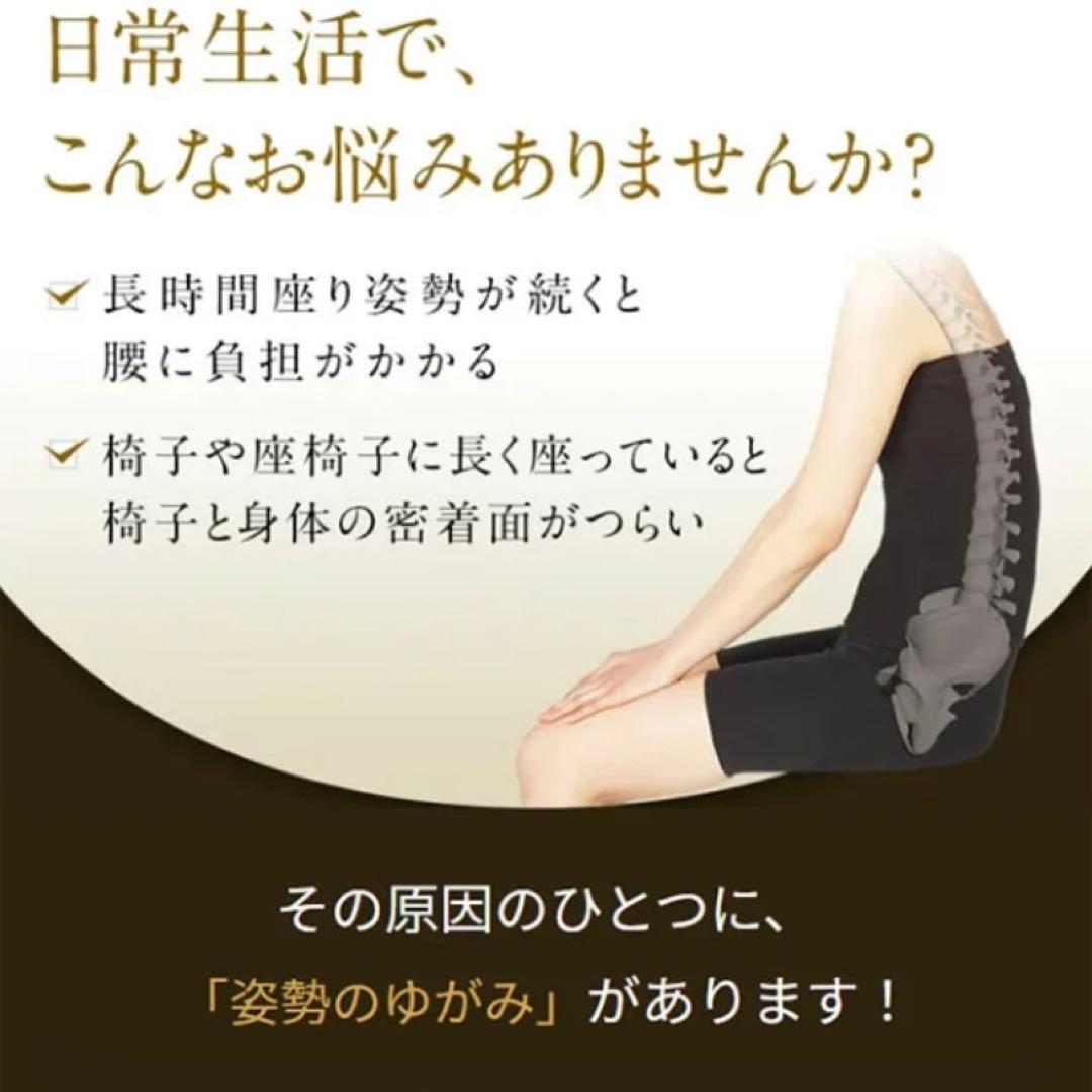 【美品 取説付き】MTG スタイル プレミアム 椅子 腰 骨盤 姿勢補正 座椅子