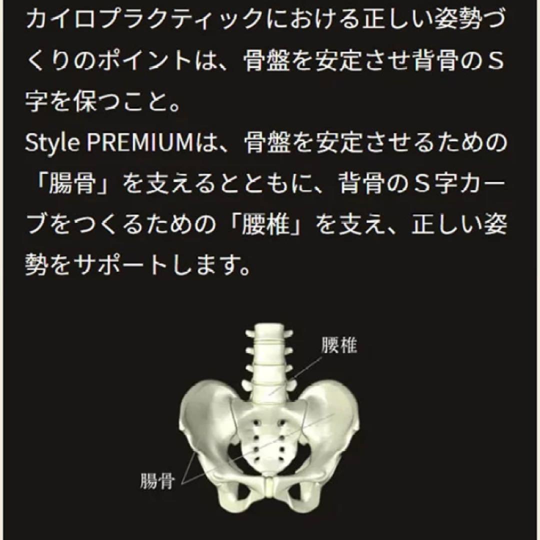 【美品 取説付き】MTG スタイル プレミアム 椅子 腰 骨盤 姿勢補正 座椅子